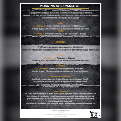 Programme 4 séances Homme - Brûle graisse (PDF) | Bodydaily